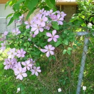 Meet your Posher, Mary ann